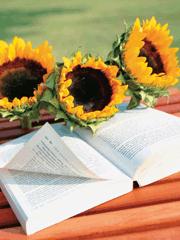 ������Ե